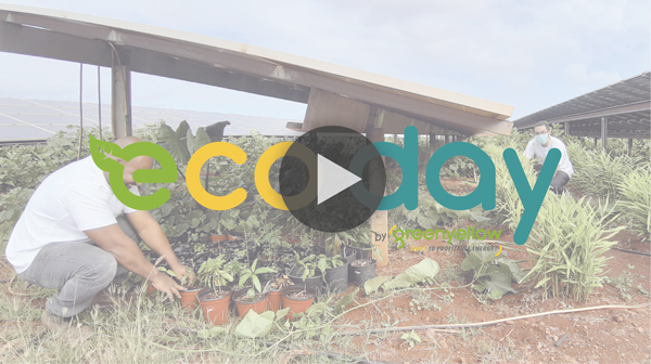 Découvrez les actions de nos collaborateurs durant cette 1ère édition de l'EcoDay chez GreenYellow